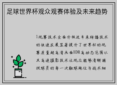 足球世界杯观众观赛体验及未来趋势