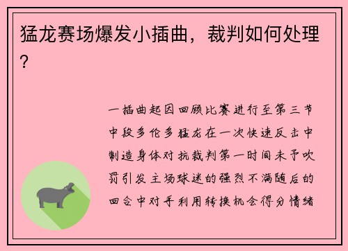 猛龙赛场爆发小插曲，裁判如何处理？